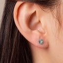 Frosted Birthstone Round CZ Titanium Flat Back Earrings