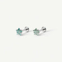 Pentagonal Zircon Titanium Flat Back Earrings