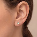 Implant Grade Titanium Earrings Guide