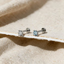 Chubby Star-Glitter flat back earrings
