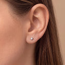 Classic Icons Collection flat back earrings