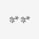 Classic Icons Titanium Flat Back Earrings