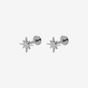 Classic Icons Titanium Flat Back Earrings