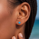 Jan to Dec Firework-Cut Round CZ flat back earrings