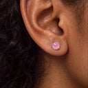 Firework-Cut Birthstone Round CZ Titanium Flat Back Earrings