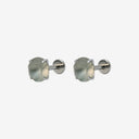 Frosted Birthstone Round CZ Titanium Flat Back Earrings