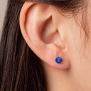 Frosted Birthstone Round CZ Titanium Flat Back Earrings