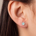 Frosted Birthstone Round CZ Titanium Flat Back Earrings