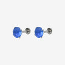 Frosted Birthstone Round CZ Titanium Flat Back Earrings