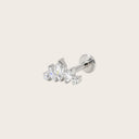 Marquise CZ Cluster Climber 18K Gold Plated Titanium Flat Back Stud Earrings