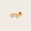 Marquise Cluster 18K Gold PVD Titanium Flat Back Earrings