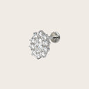 Marquise Halo 18K Gold PVD Titanium Flat Back Earrings
