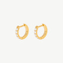 Moissanite D-Shape Huggie 18K Gold Plated Titanium Hoop Earrings