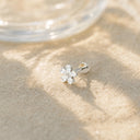 Pear-Petal Flower 18K Gold PVD Titanium Flat Back Earrings