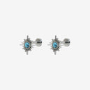 Starburst Gemstone Titanium Flat Back Earrings
